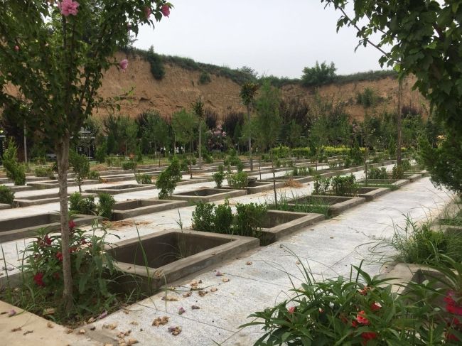 園區(qū)景觀(guān)